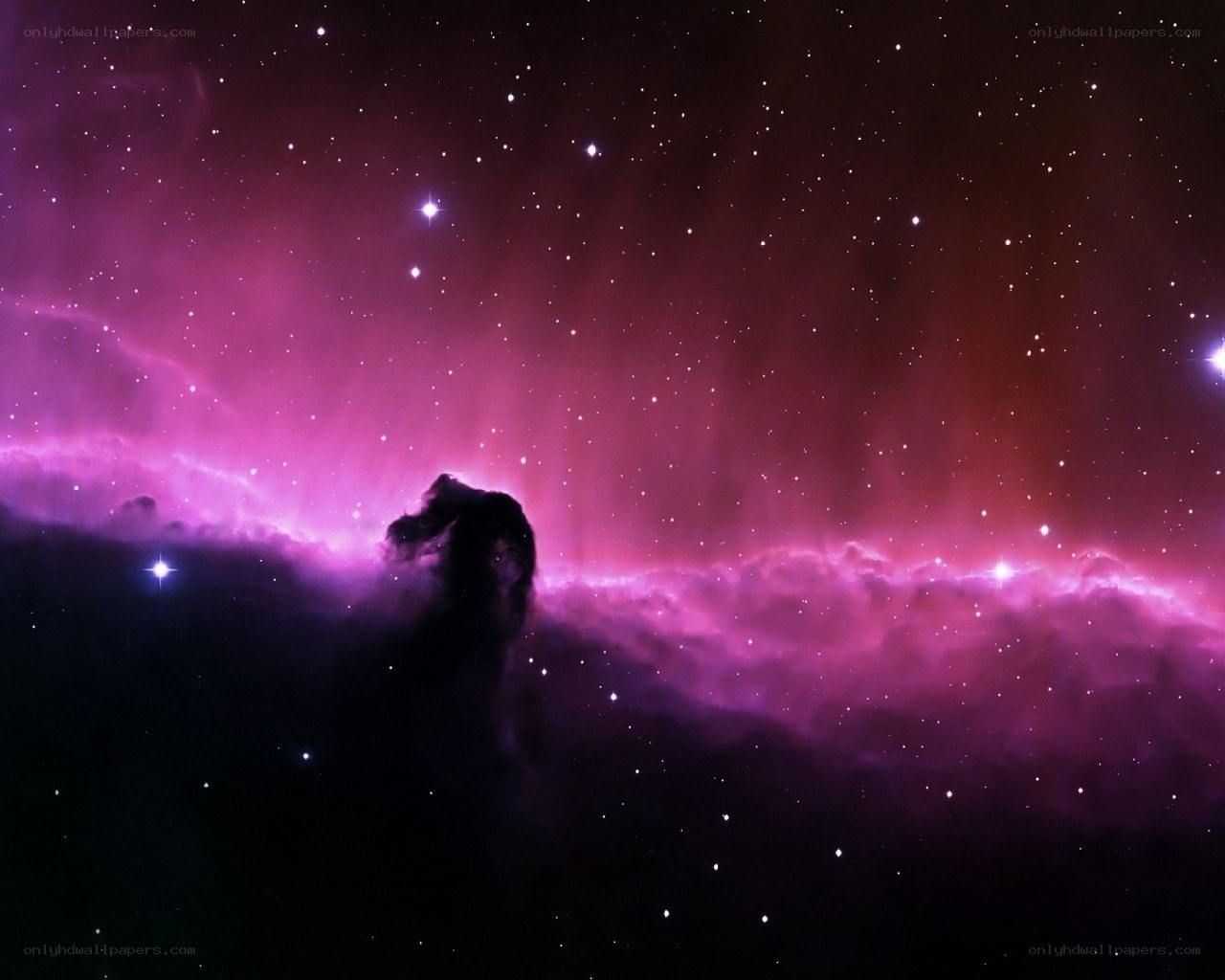Horsehead Nebula in space