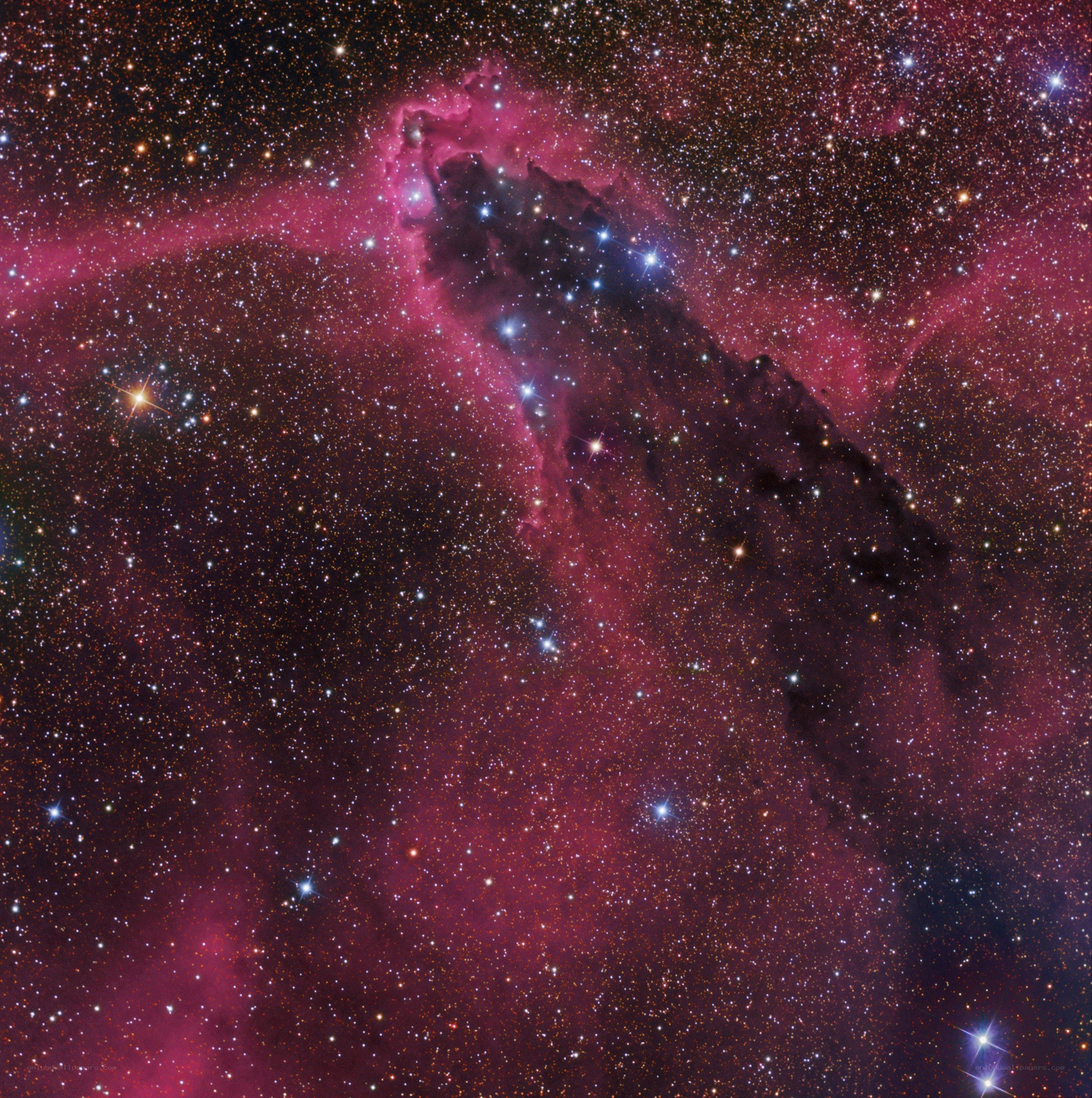 Horsehead Nebula in space