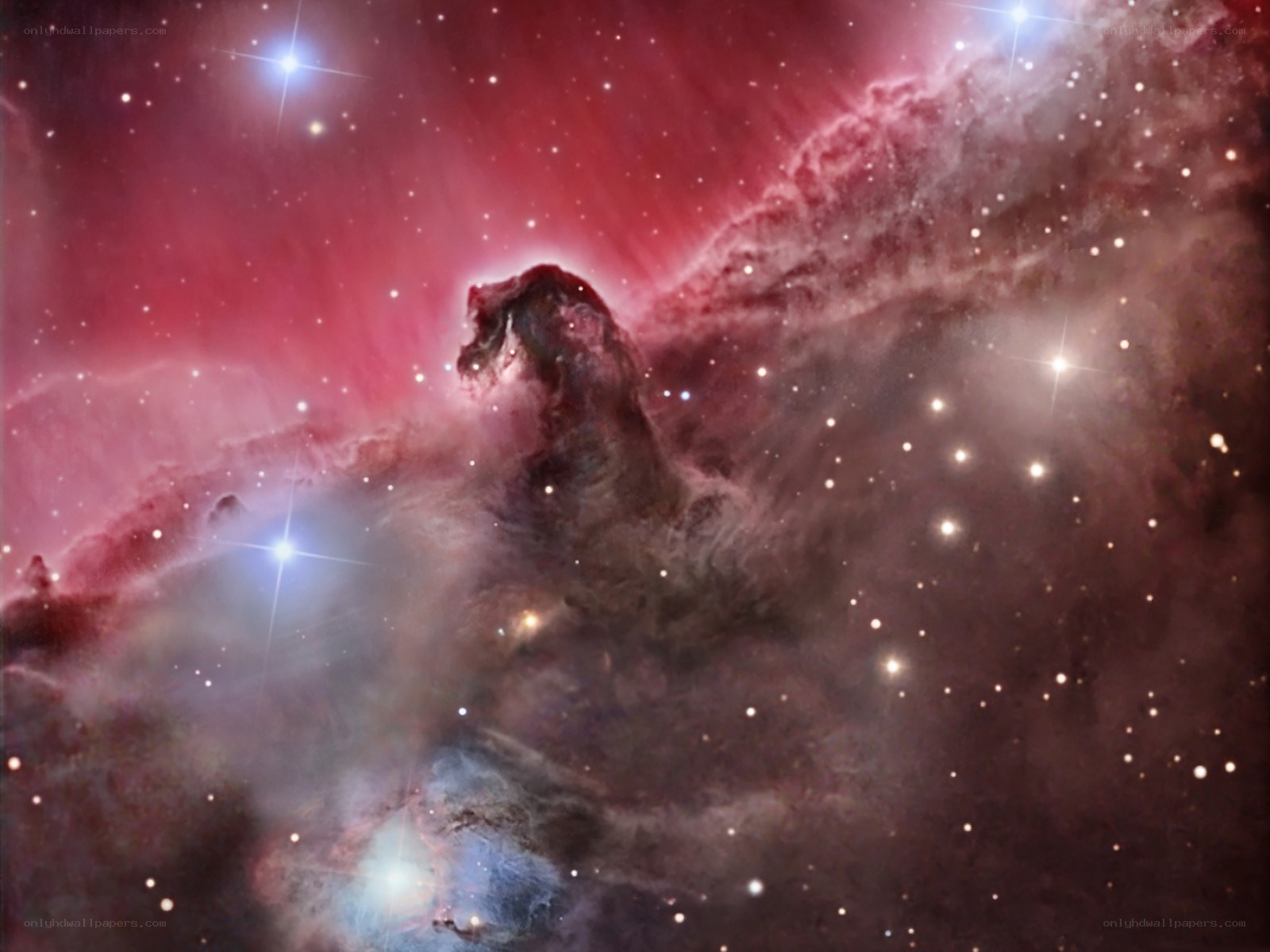 Horsehead Nebula in space