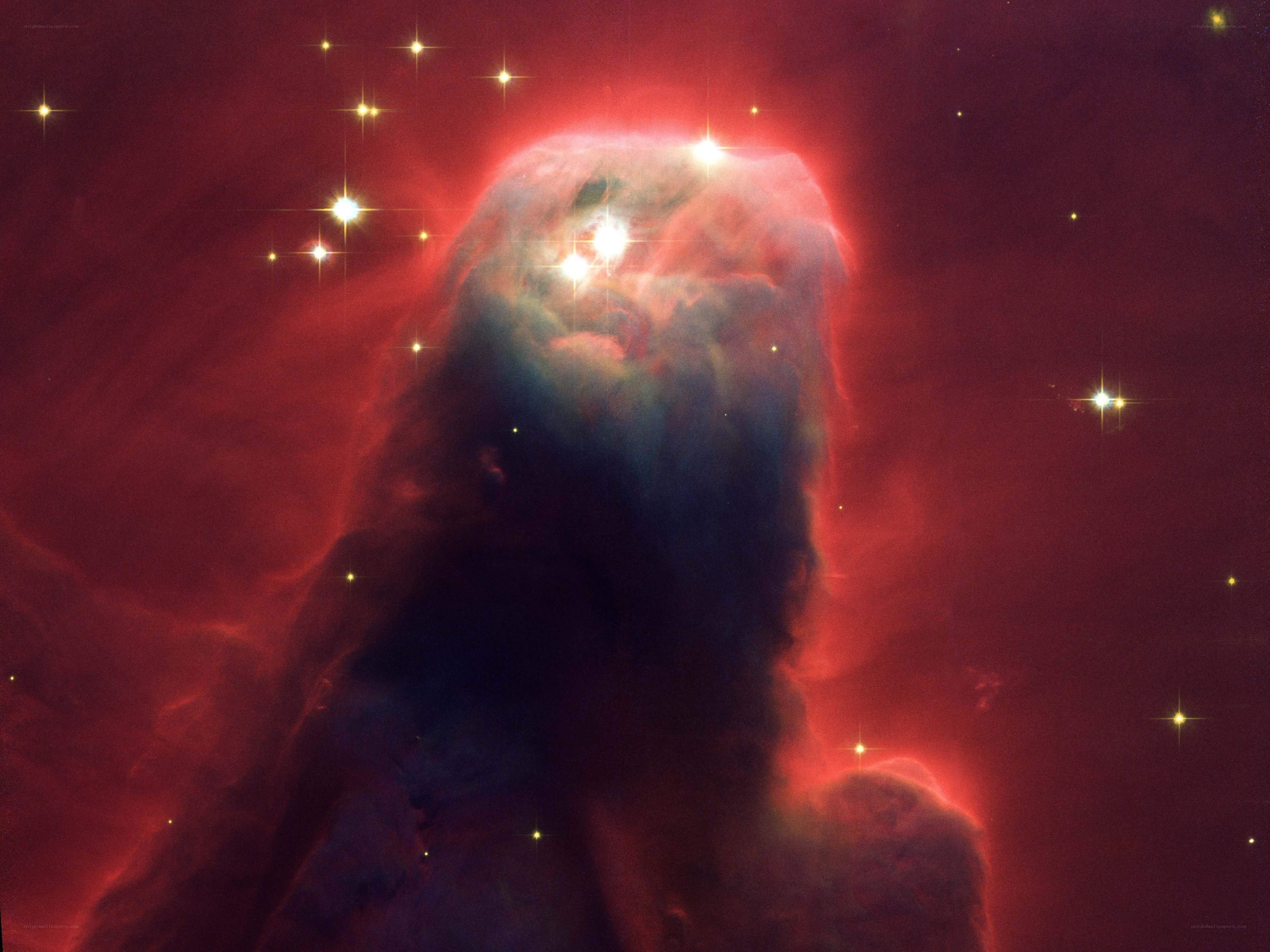 Horsehead Nebula in space