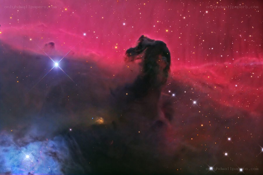 Horsehead Nebula in space