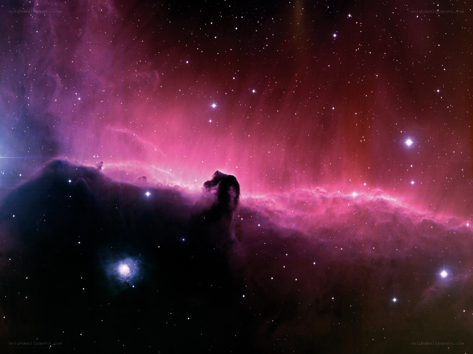 Horsehead Nebula in space