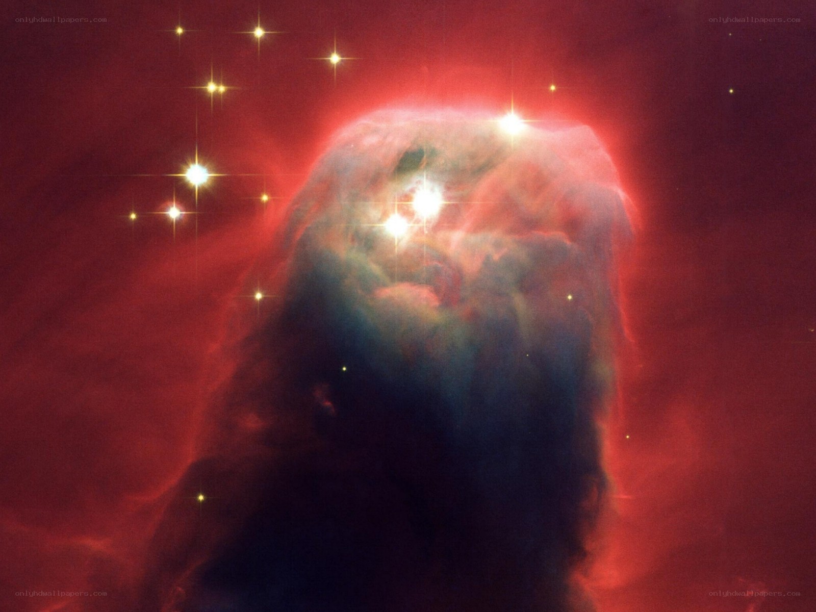 Horsehead Nebula in space