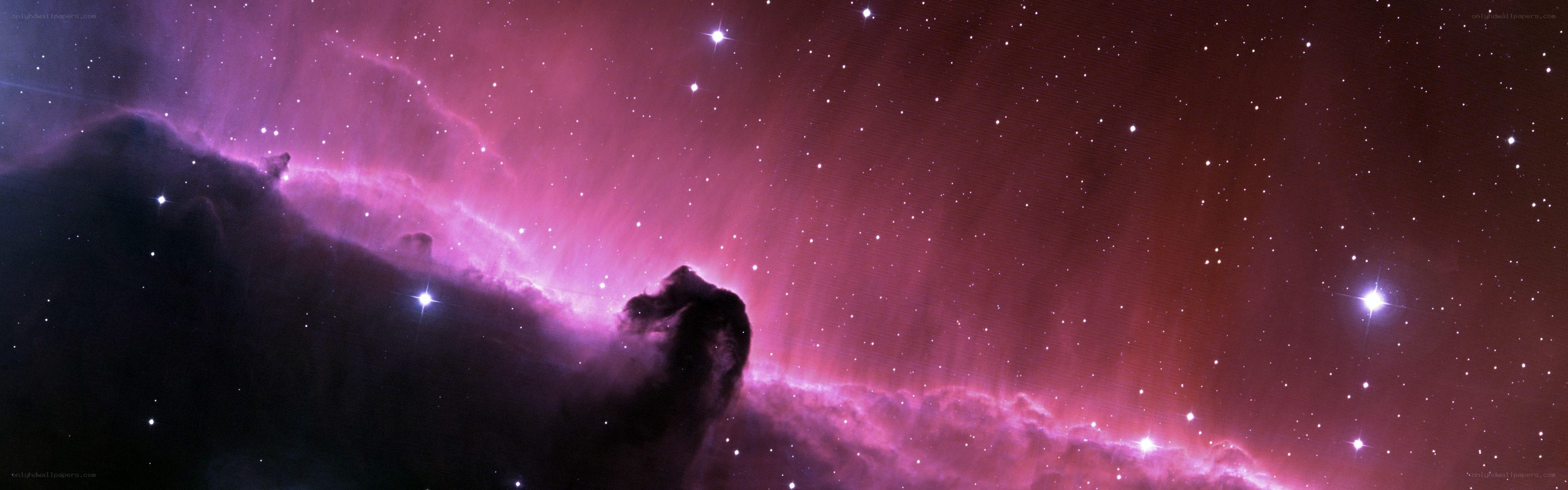 Horsehead Nebula in space