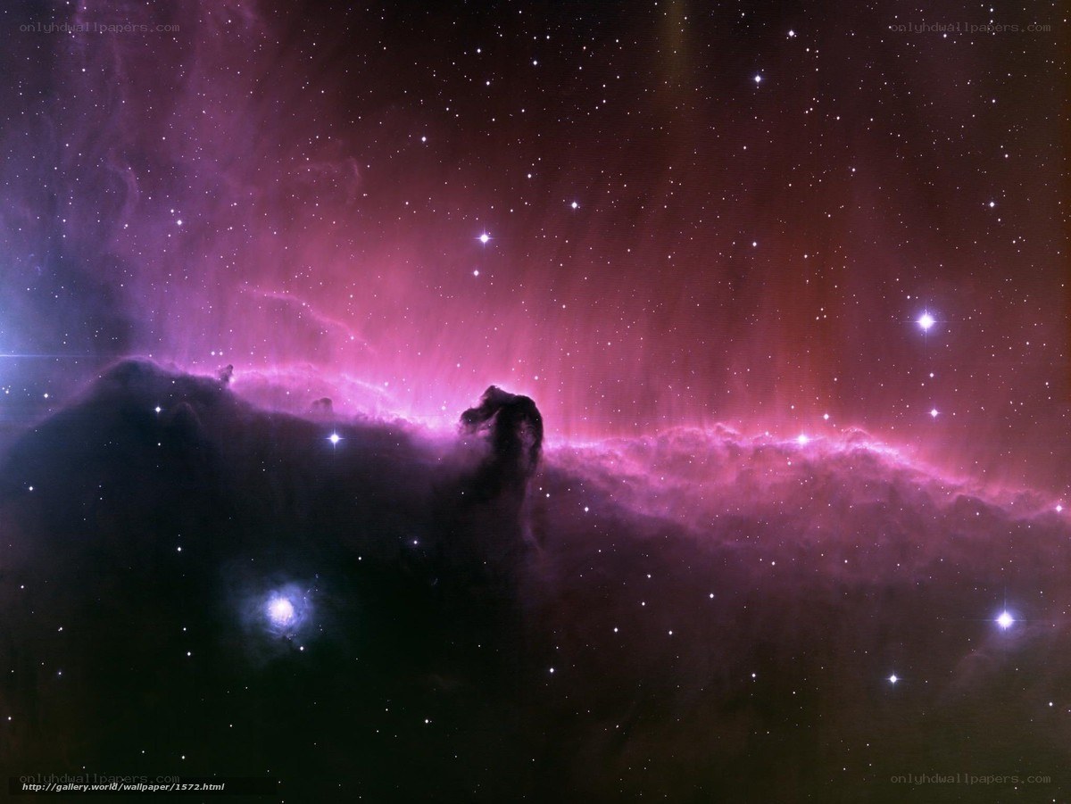 Horsehead Nebula in space