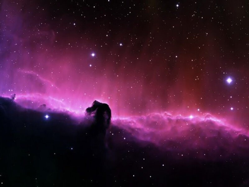 Horsehead Nebula — Purple, Cosmic