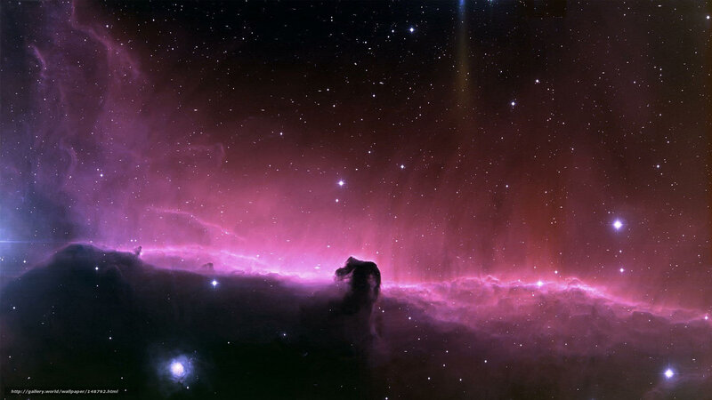 Horsehead Nebula — Purple, Dramatic, Night, Photograph, Stars