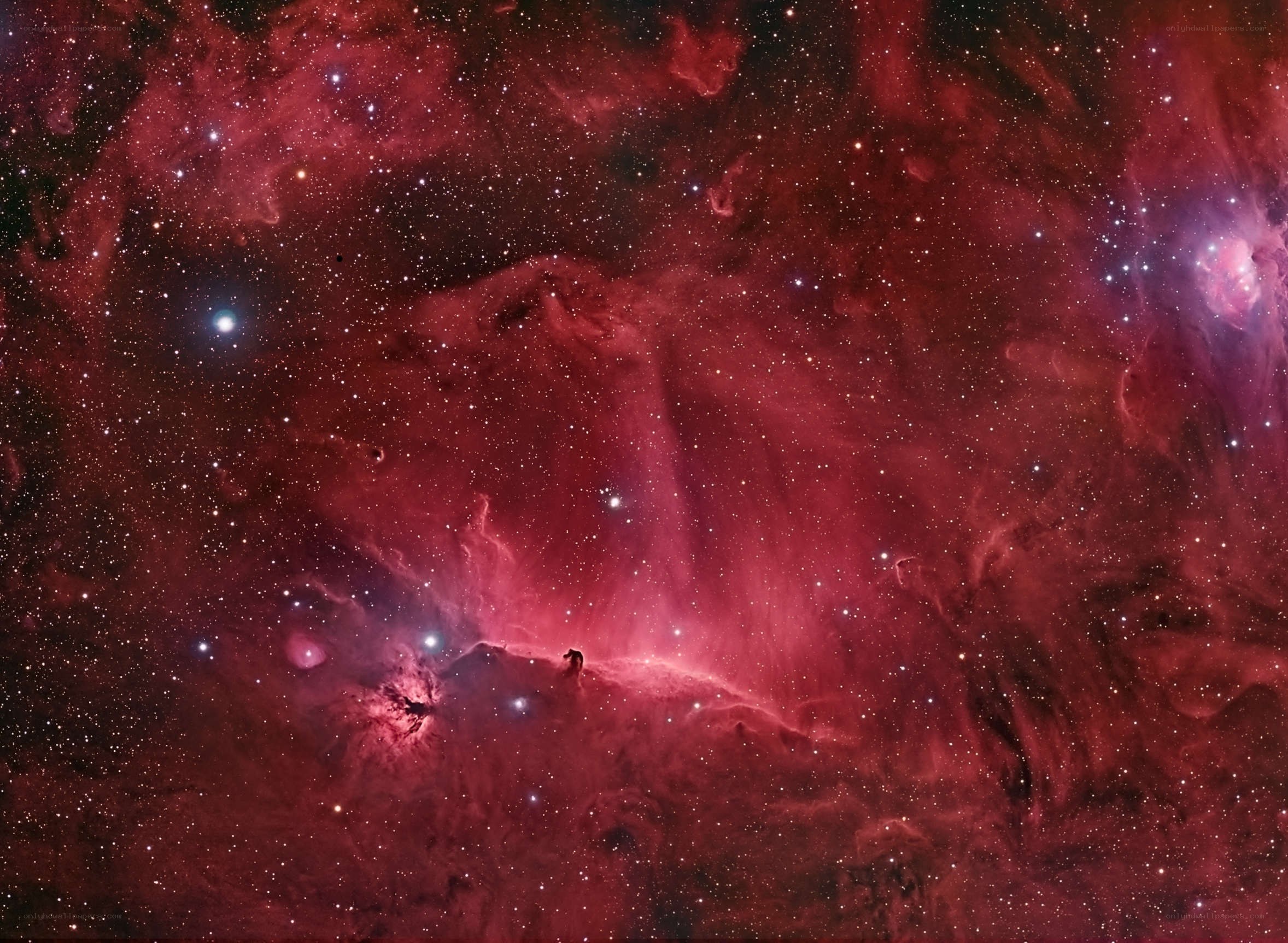 Horsehead Nebula region