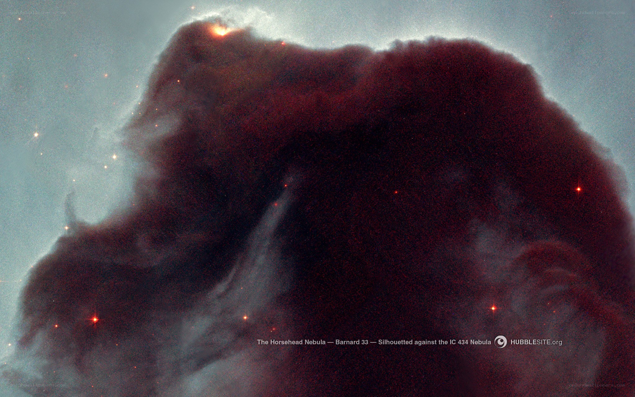 Horsehead Nebula silhouette