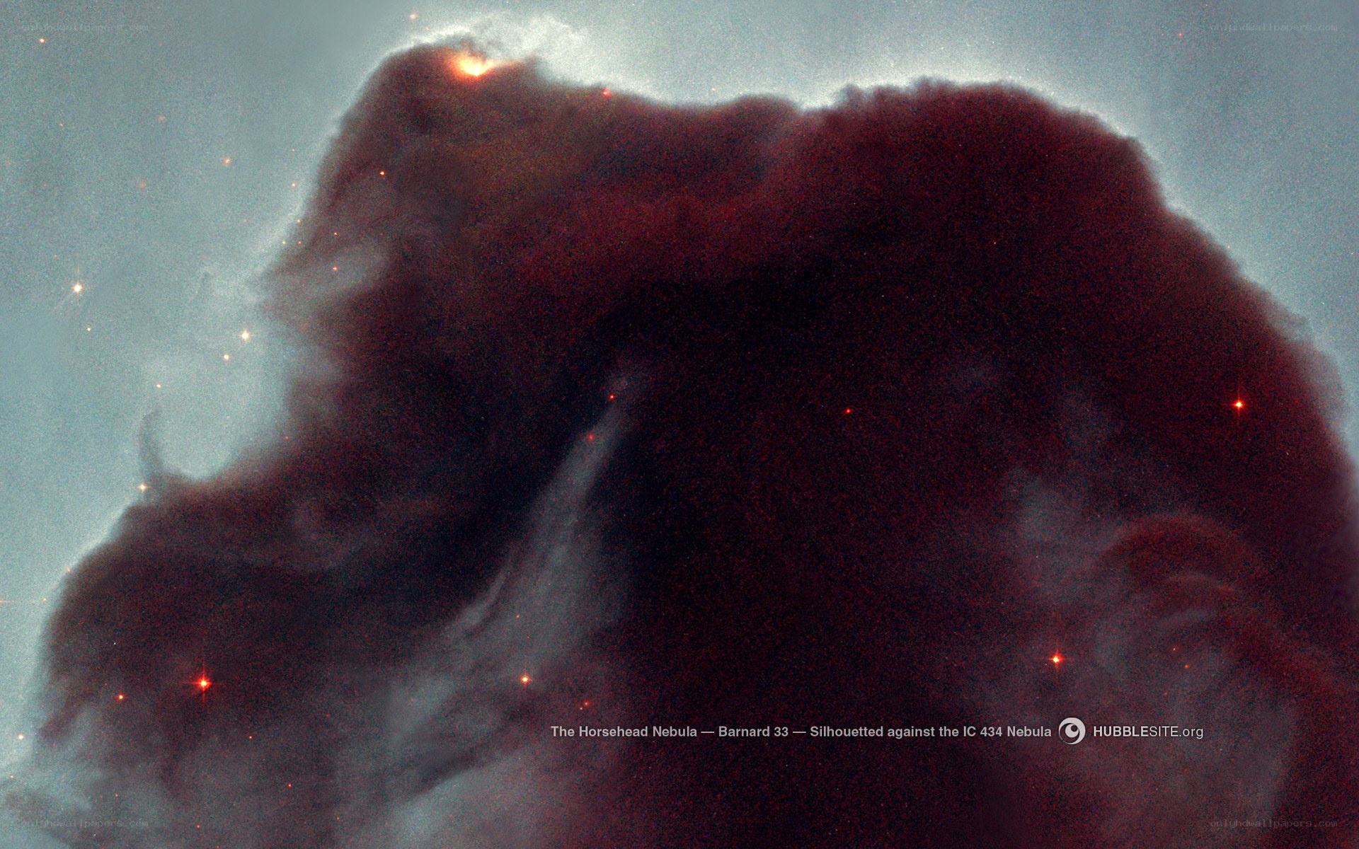 Horsehead Nebula silhouette