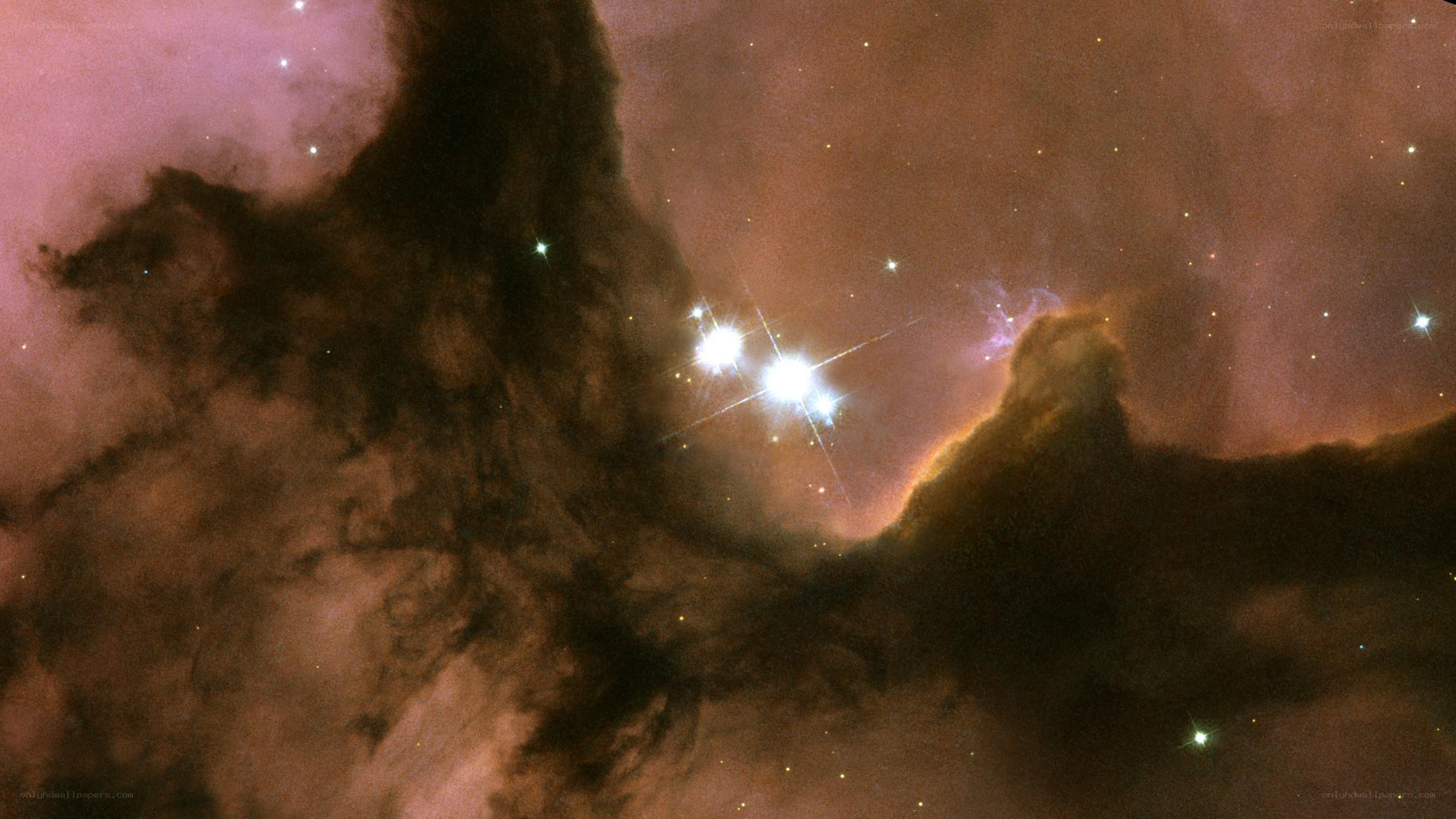 Horsehead Nebula with stars