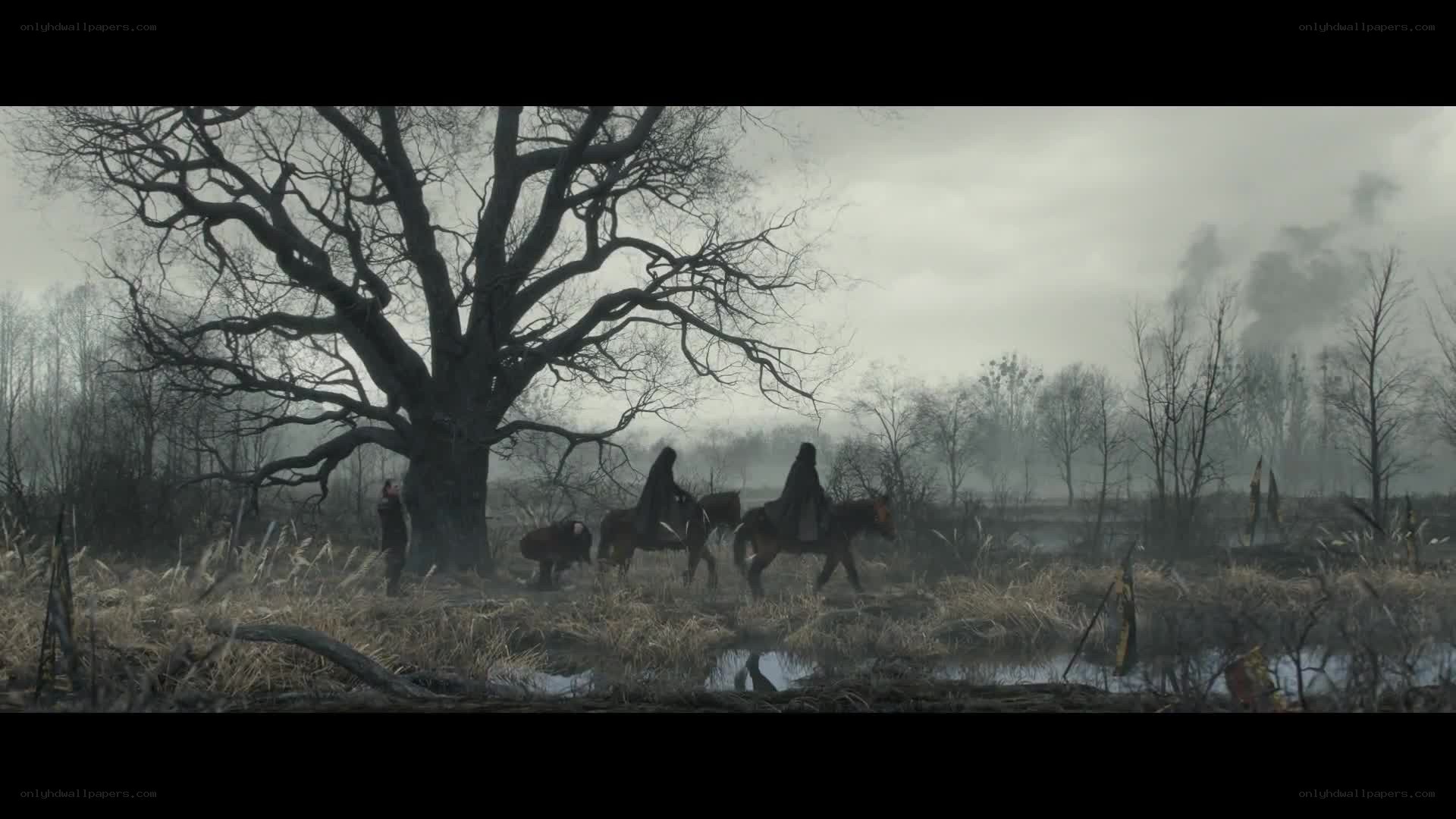 Horsemen in a misty swamp