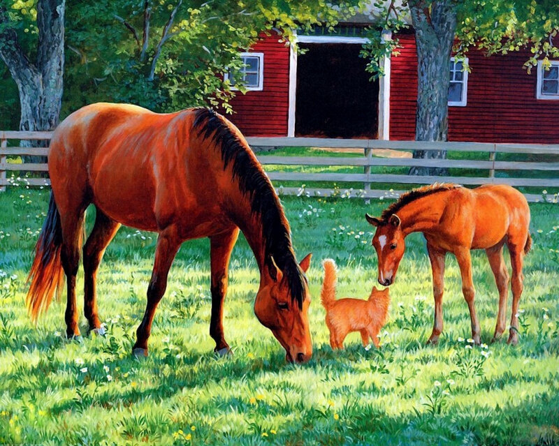 Horses and a cat in a pasture