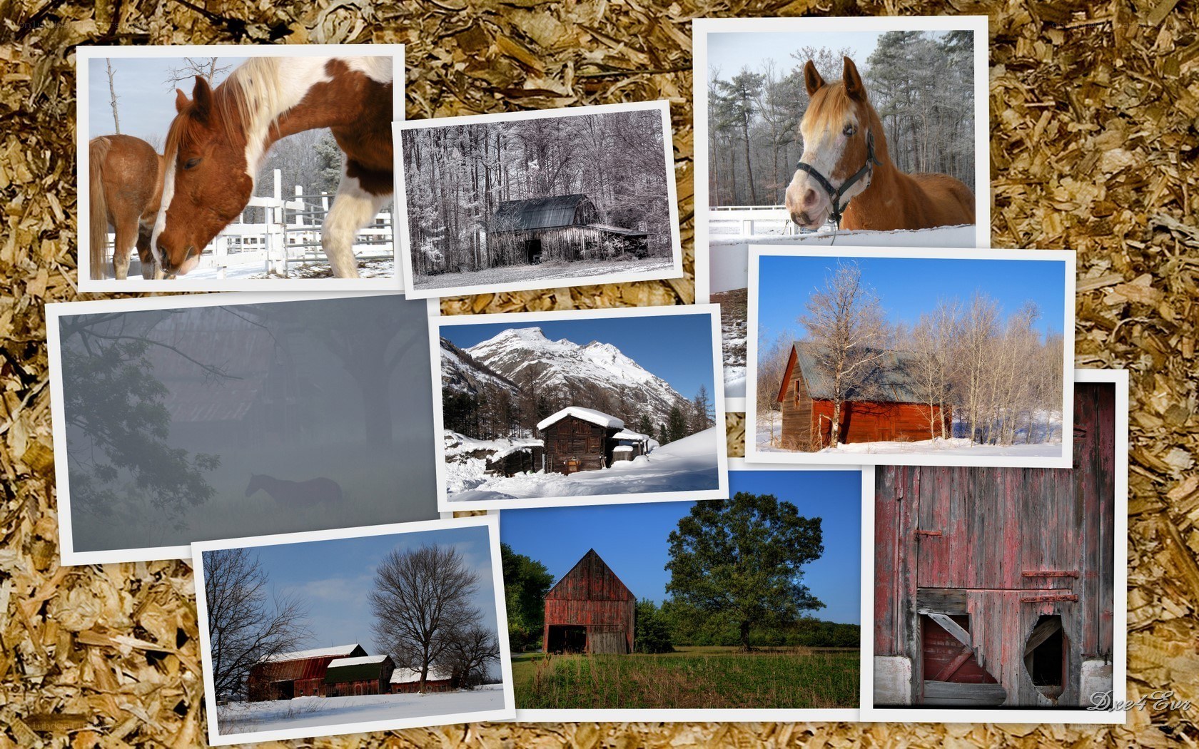 Horses and barns collage