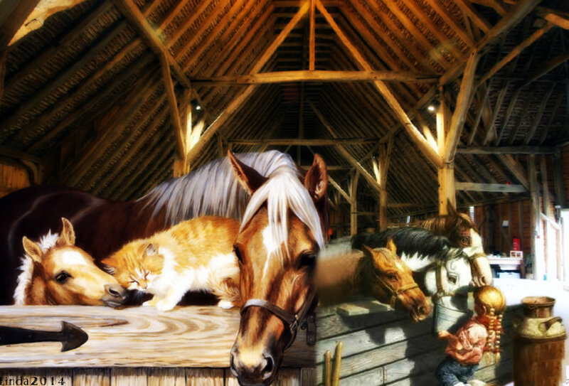 Horses and Cat in Barn