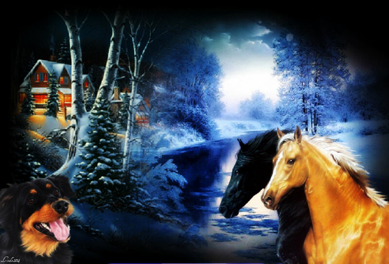 Horses and Dog in Winter