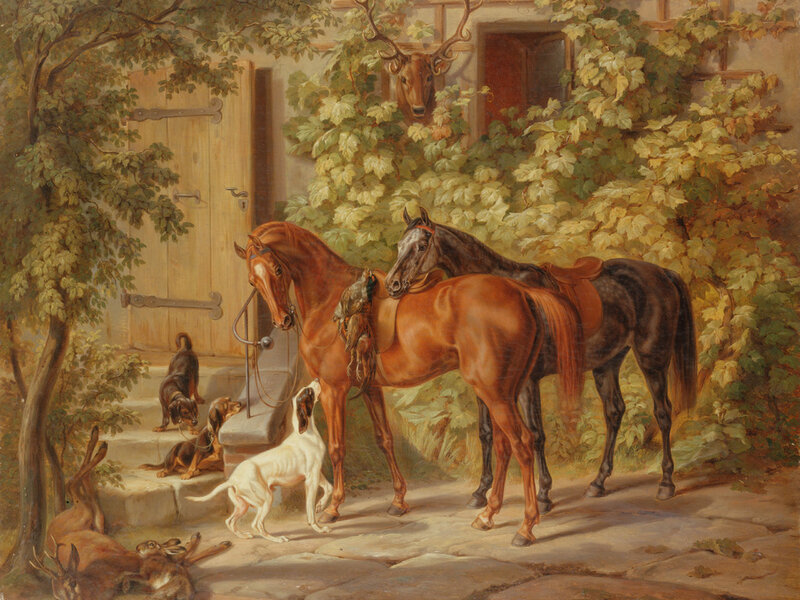 Horses and Dogs Outside