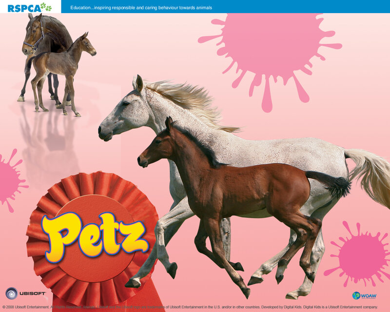 Horses and Foals