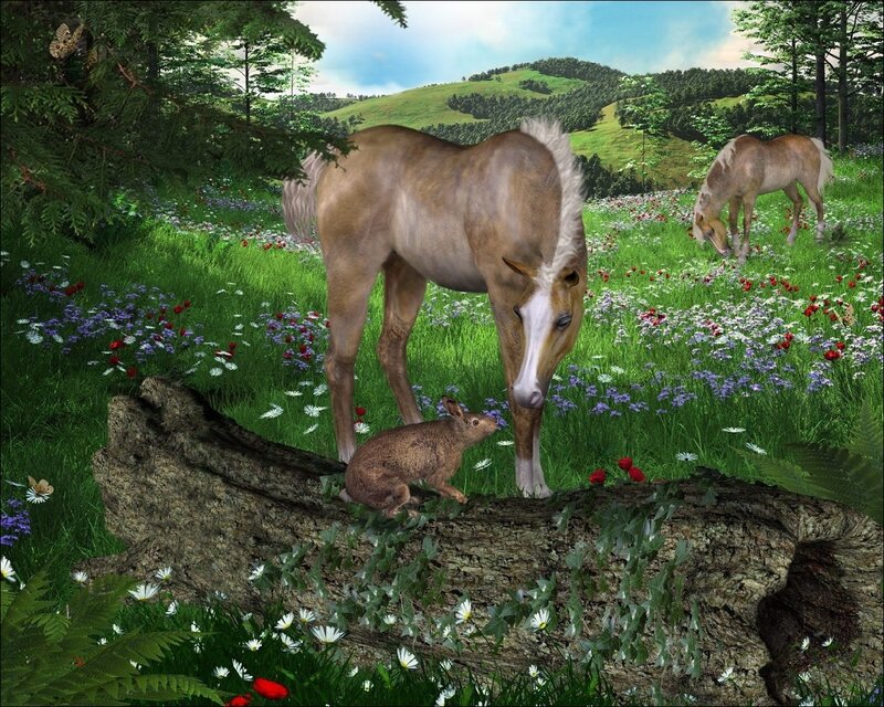 Horses and Rabbit in Field