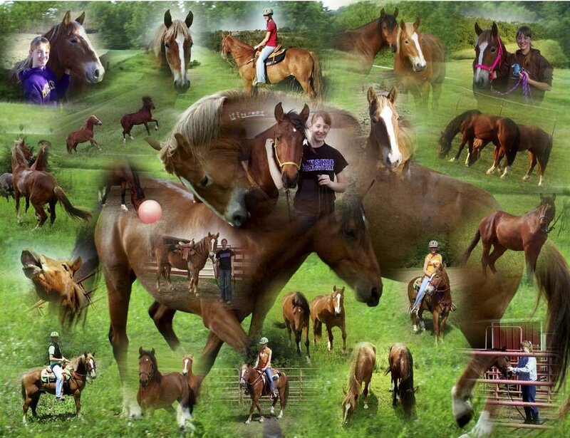Horses and Riders in Field