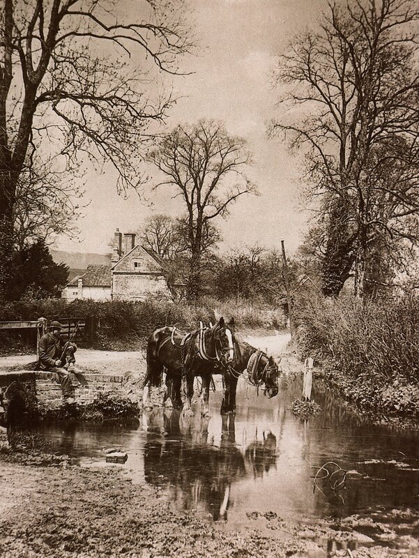 Horses at a rural stream