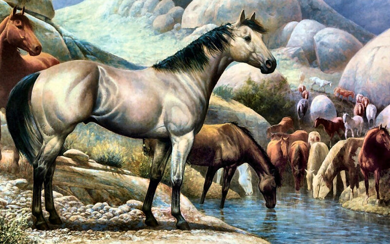 Horses at a Waterhole — Brown