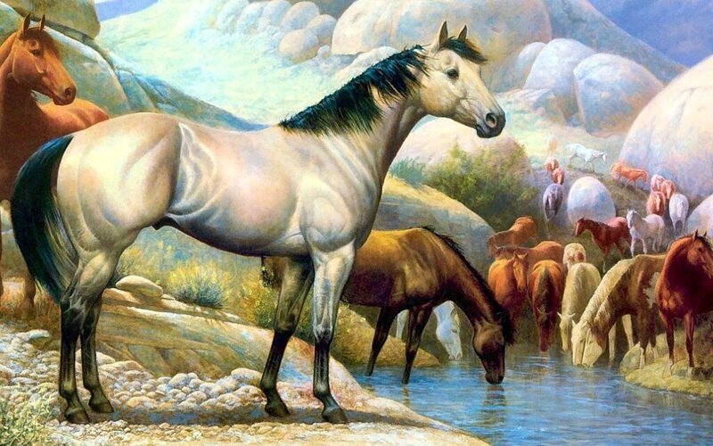 Horses at a waterhole