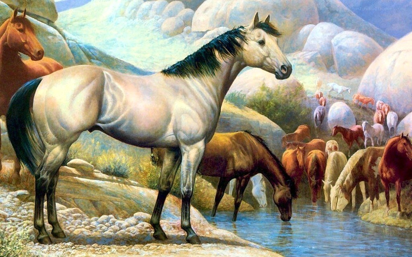 Horses at a waterhole