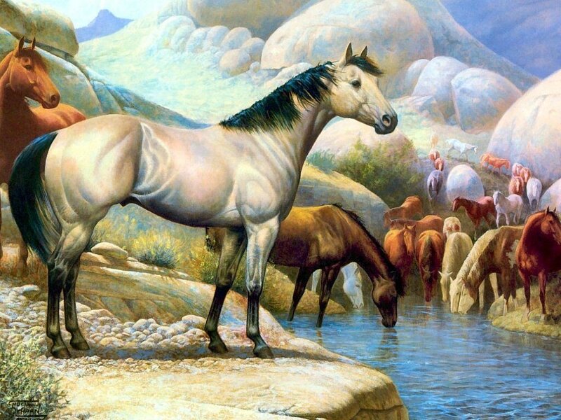 Horses at a Watering Hole — Brown, Serene