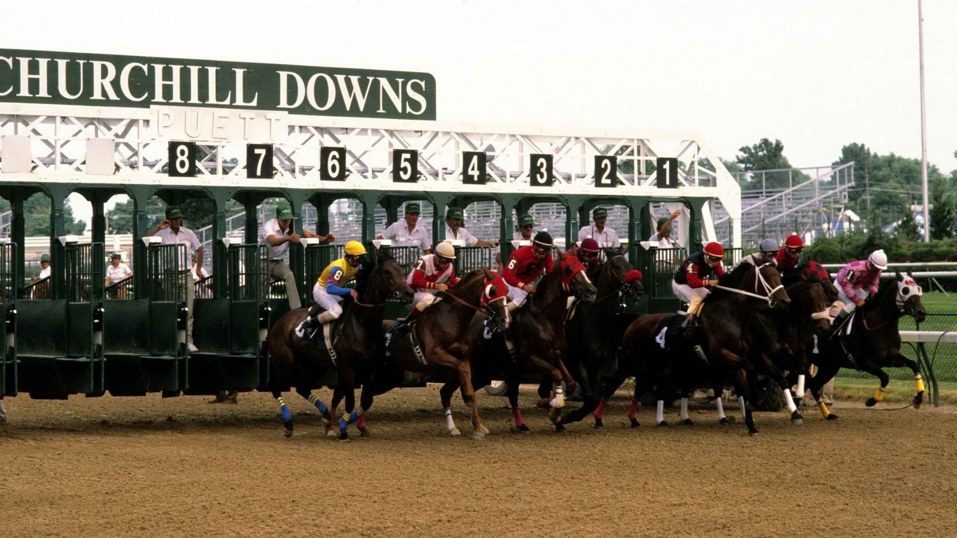 Horses at Churchill Downs