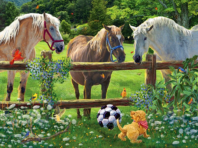 Horses at Fence