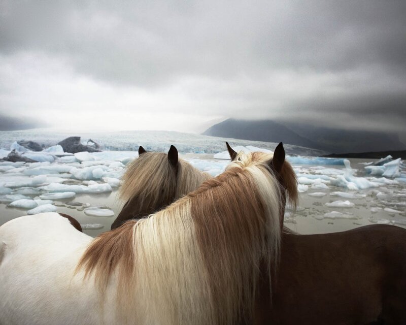 Horses at Glacier Lagoon