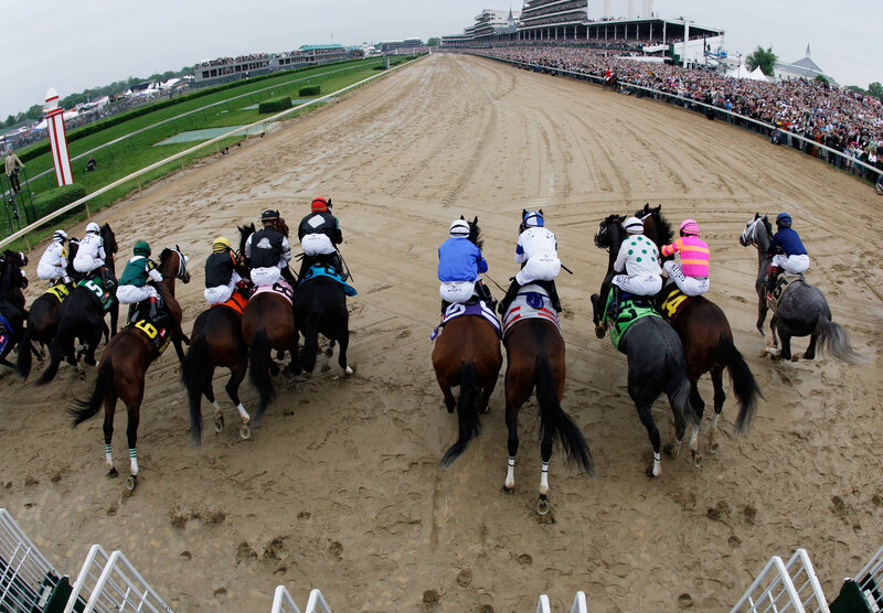 Horses at Starting Gate