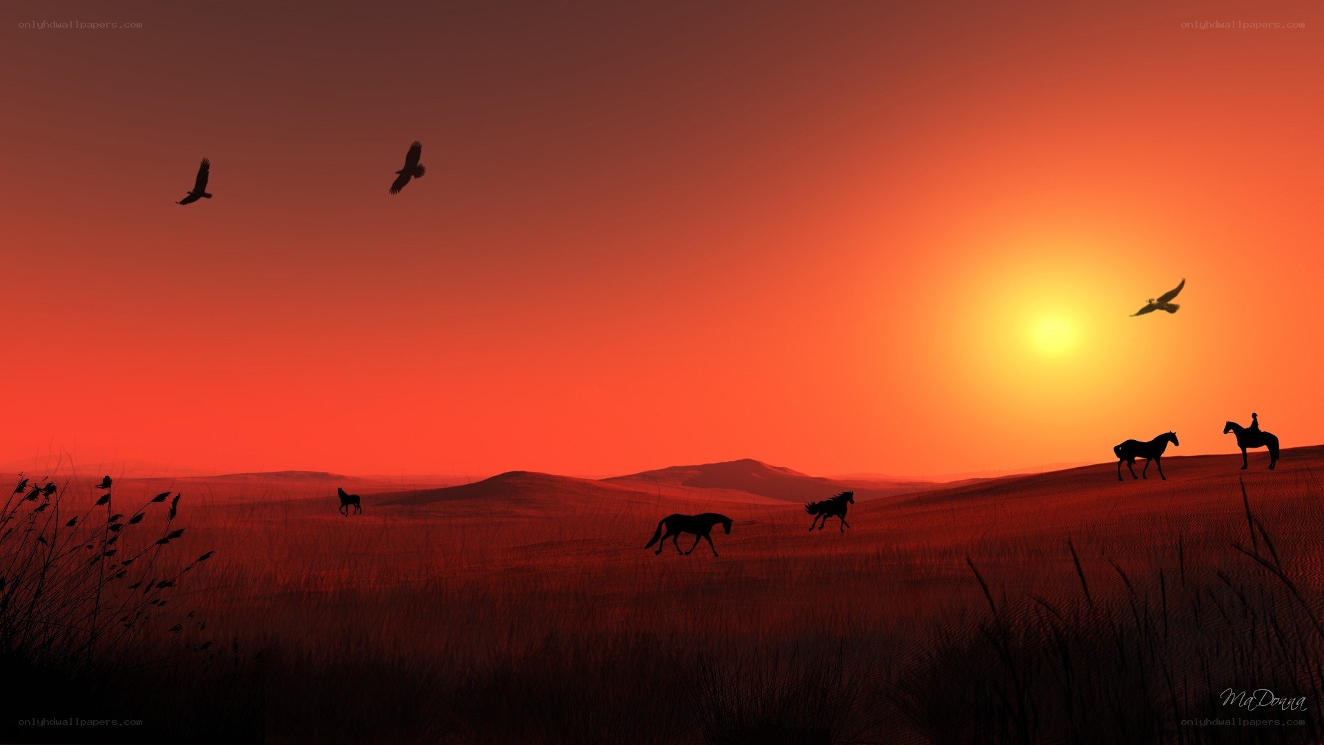 Horses at sunset on a plain