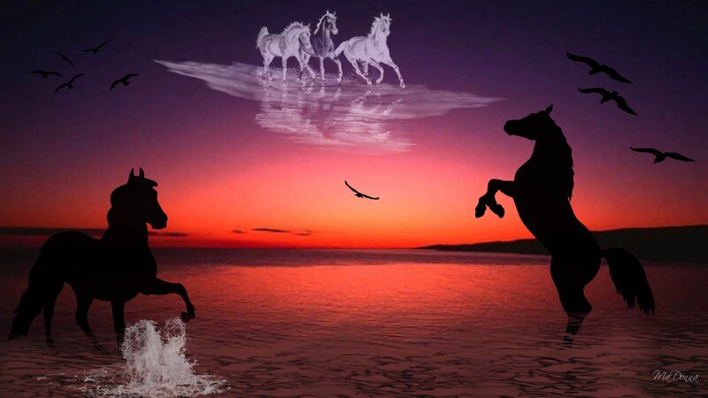 Horses at sunset on water
