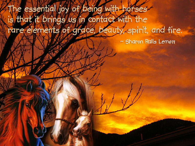 horses at sunset with quote
