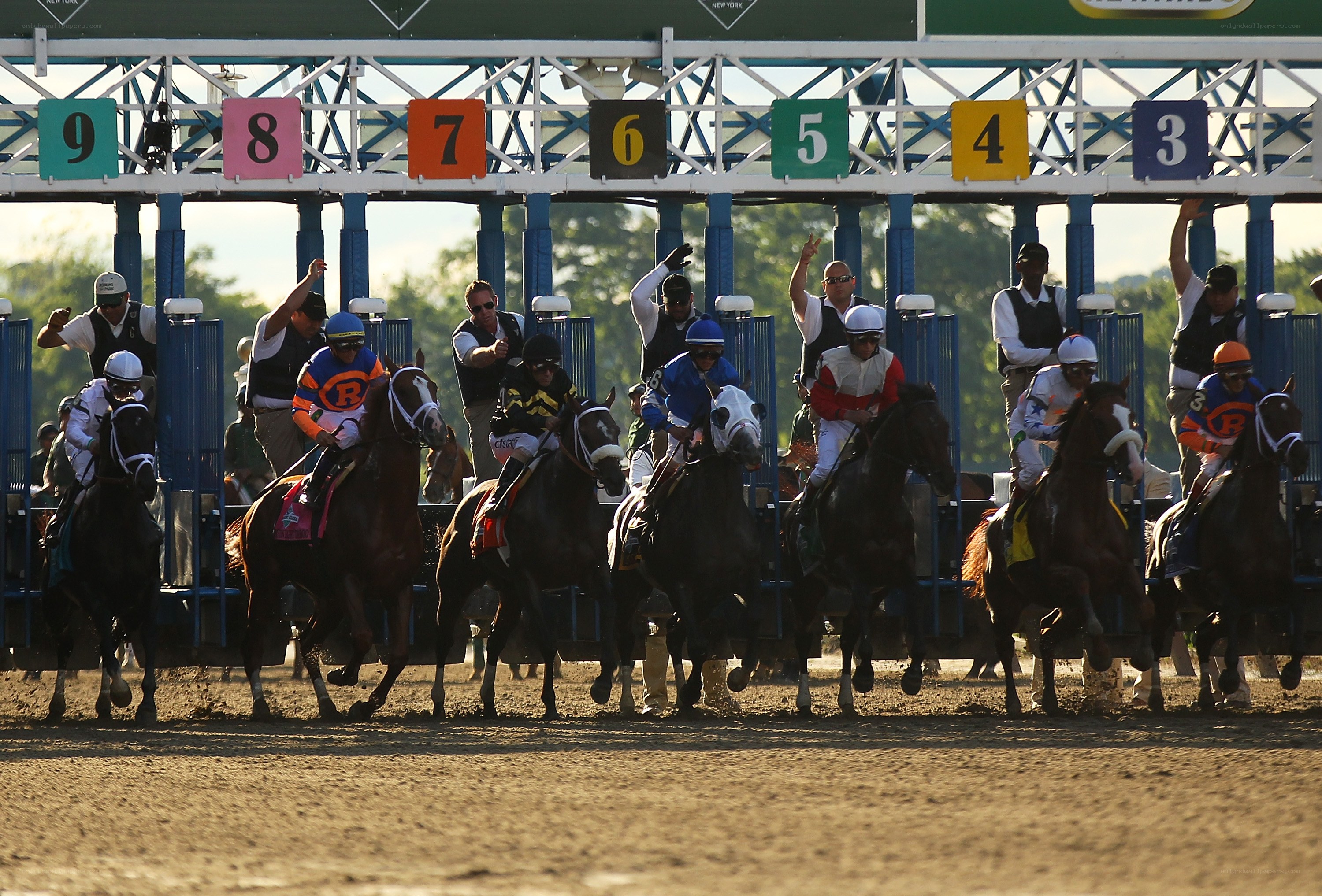 Horses at the starting gate