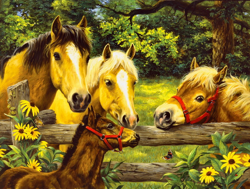 Horses at Wooden Fence