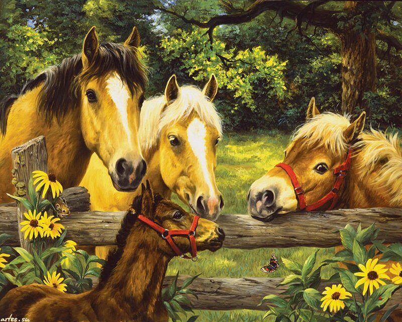 Horses at Wooden Fence — Yellow