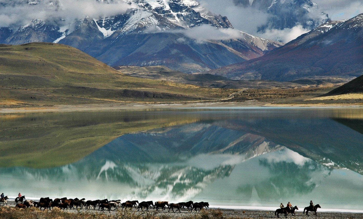 Horses by a mountain lake