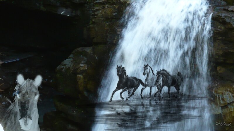 Horses by a waterfall