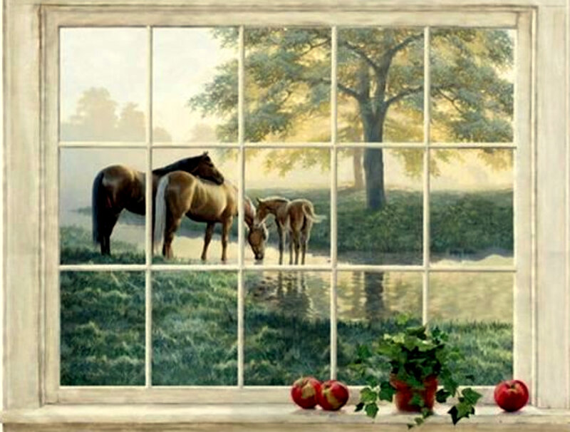 Horses by the window