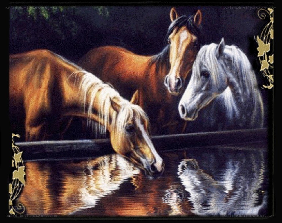 horses drinking at a pond