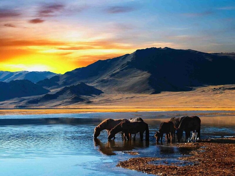 Horses Drinking Water — Blue, Serene, Sunset, Photograph, Mountains