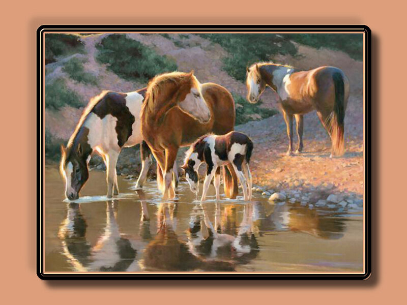 Horses Drinking Water — Brown