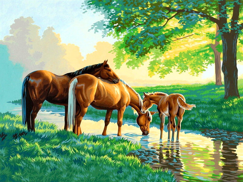 Horses Drinking Water — Green, Serene