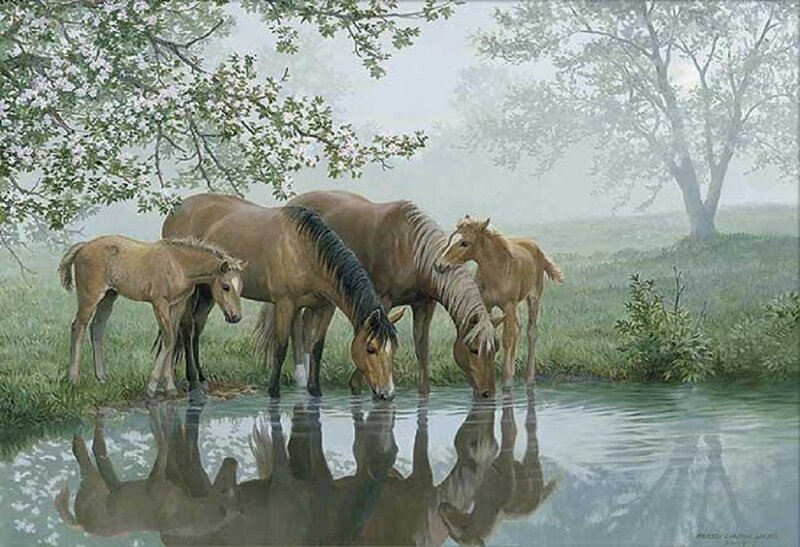 Horses Drinking Water — Green