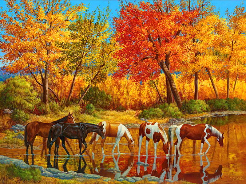 Horses Drinking Water — Orange