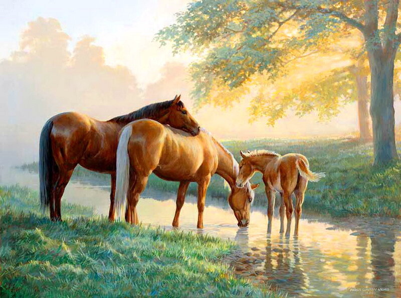 Horses Drinking Water