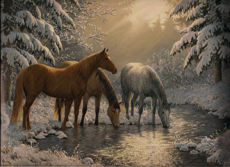 Horses Drinking Water — White